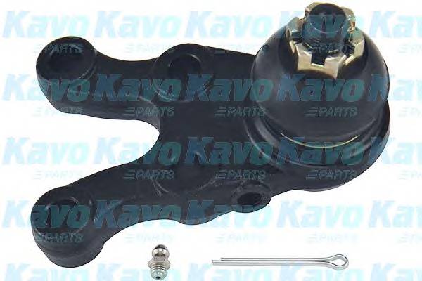 KAVO PARTS SBJ-5506 Несучий / напрямний