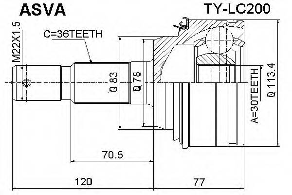 ASVA TYLC200 ØÐÓÑ ÍÀÐÓÆÍÛÉ 36X78X30