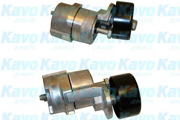 KAVO PARTS DTP-3006 Натяжной ролик, поликлиновой