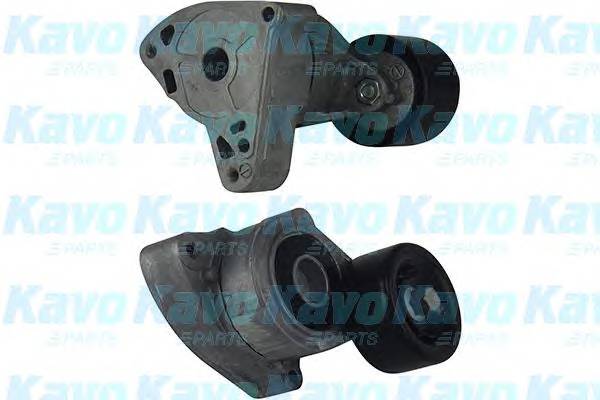 KAVO PARTS DTP-2001 Натяжний ролик, полікліновий