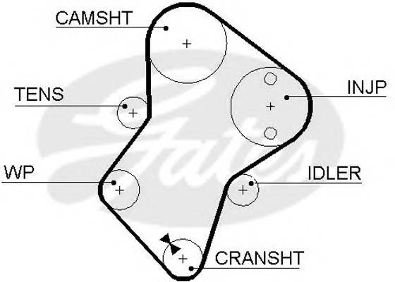 GATES 5049 Ремень ГРМ