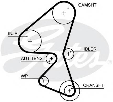GATES 5656XS Ремень ГРМ
