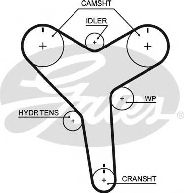 GATES T257 Ремень ГРМ