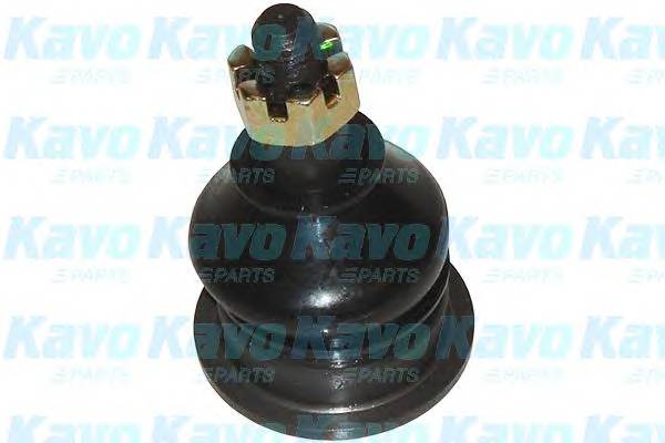 KAVO PARTS SBJ-2002 Несущий / направляющий