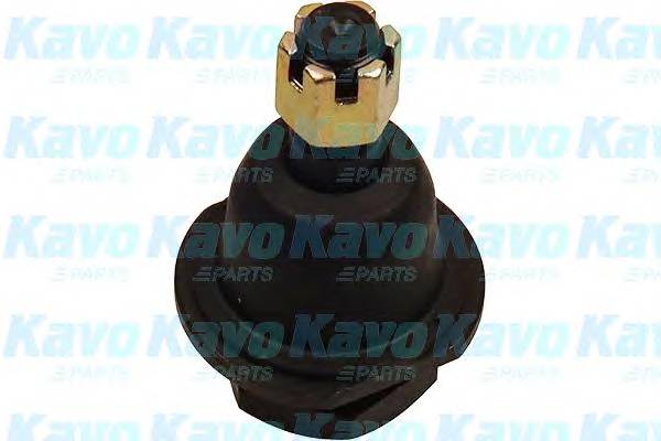 KAVO PARTS SBJ-6501 Несучий / напрямний