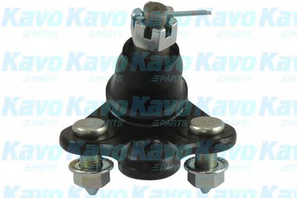 KAVO PARTS SBJ-2013 Несучий / напрямний