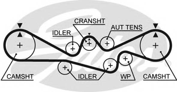 GATES 5537XS Ремень ГРМ