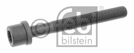 FEBI BILSTEIN 06666 Болт головки цилидра