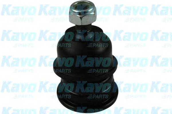 KAVO PARTS SBJ-5501 Несучий / напрямний