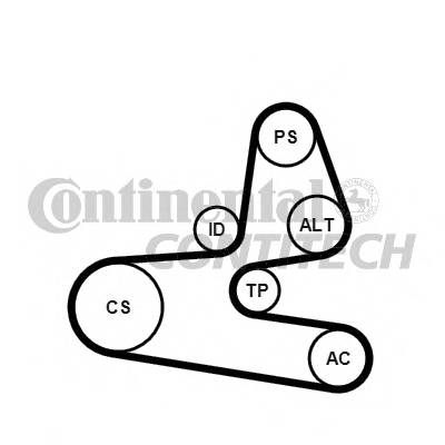 CONTITECH 6PK1564K1 Поликлиновой ременный комплект