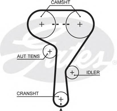 GATES 5603XS Ремень ГРМ