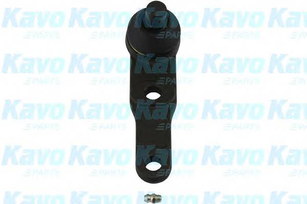 KAVO PARTS SBJ-1005 Несучий / напрямний