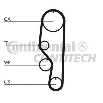 CONTITECH CT557 Ремень ГРМ