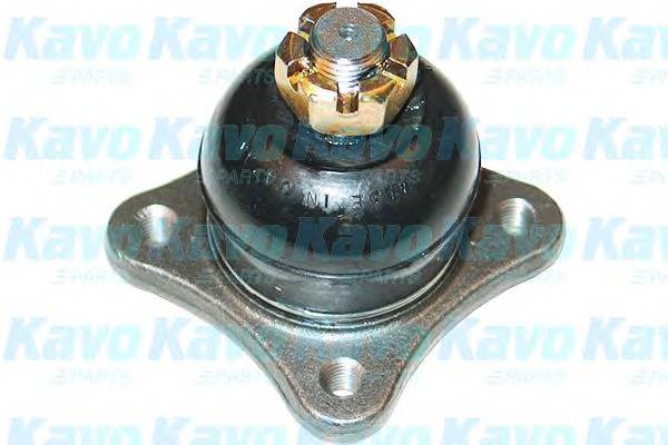 KAVO PARTS SBJ-5516 Несучий / напрямний