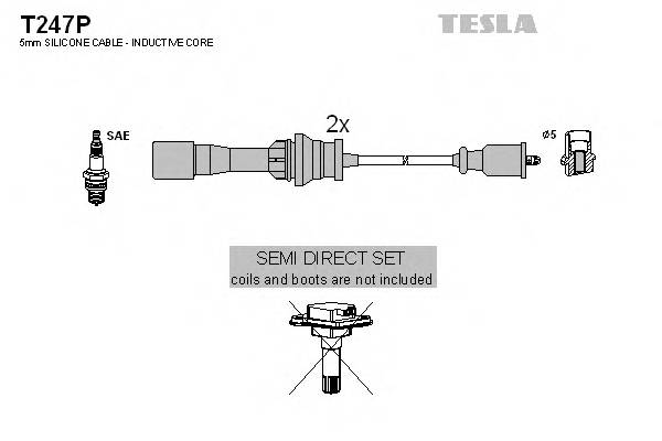 TESLA T247P купити в Україні за вигідними цінами від компанії ULC