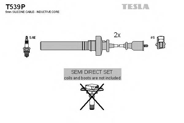 TESLA T539P купити в Україні за вигідними цінами від компанії ULC