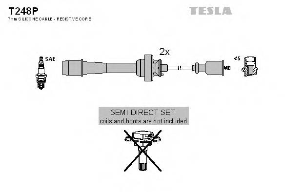 TESLA T248P купити в Україні за вигідними цінами від компанії ULC