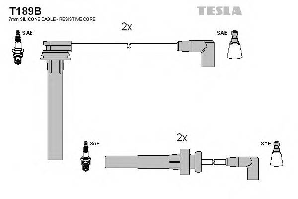 TESLA T189B купити в Україні за вигідними цінами від компанії ULC